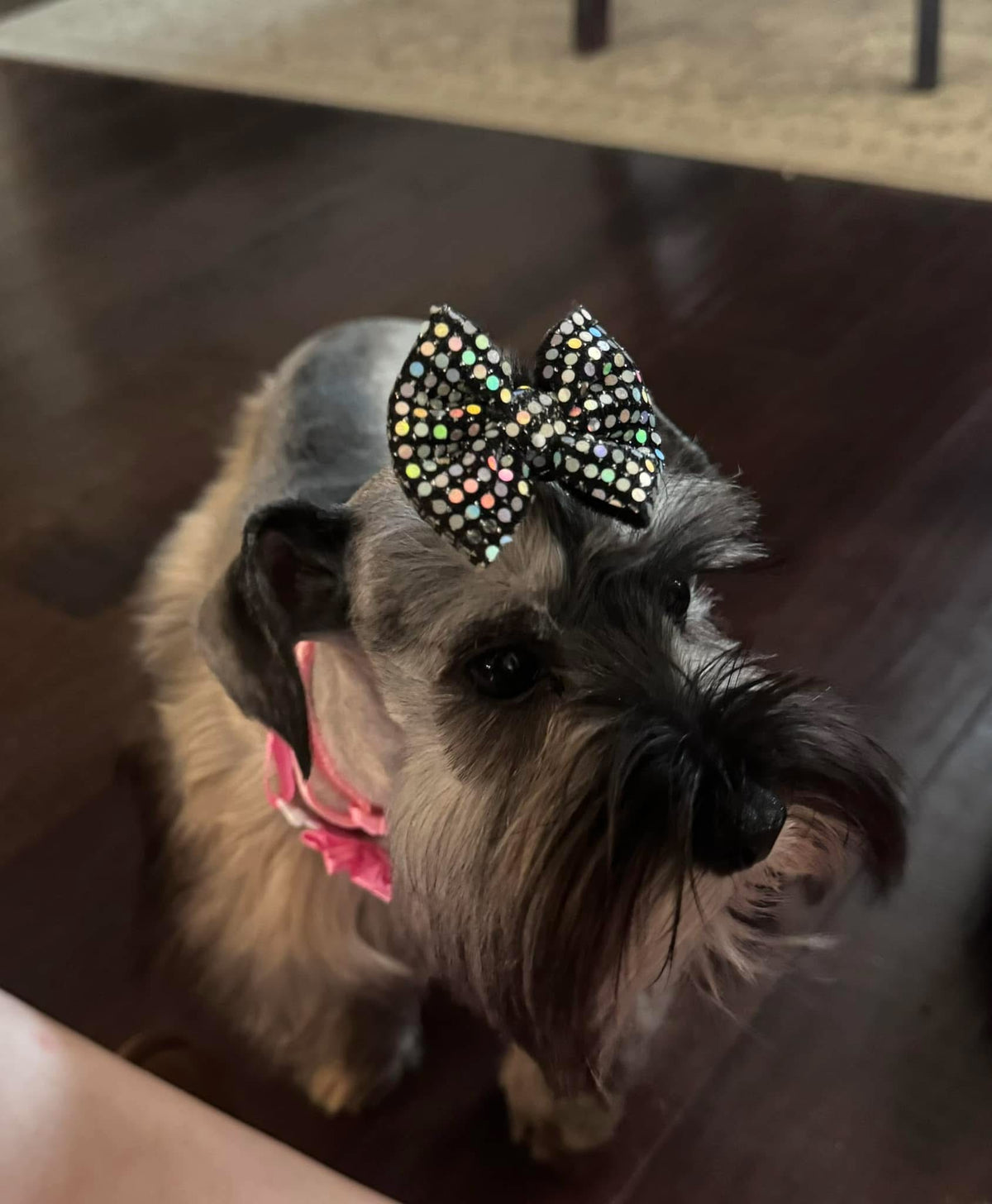 PIGGIES & SINGLE BOWS STYLE GUIDE